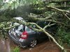 Ano das Tempestades