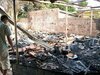 Ano dos Incêndios