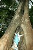 Foto: Carlos Rodrigues - CRN