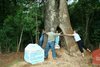 Foto: Carlos Rodrigues - CRN