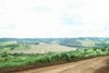 Foto: Carlos Rodrigues - CRN