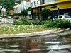 Foto: Ely Rodrigues