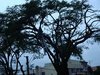 Foto: Carlos Rodrigues